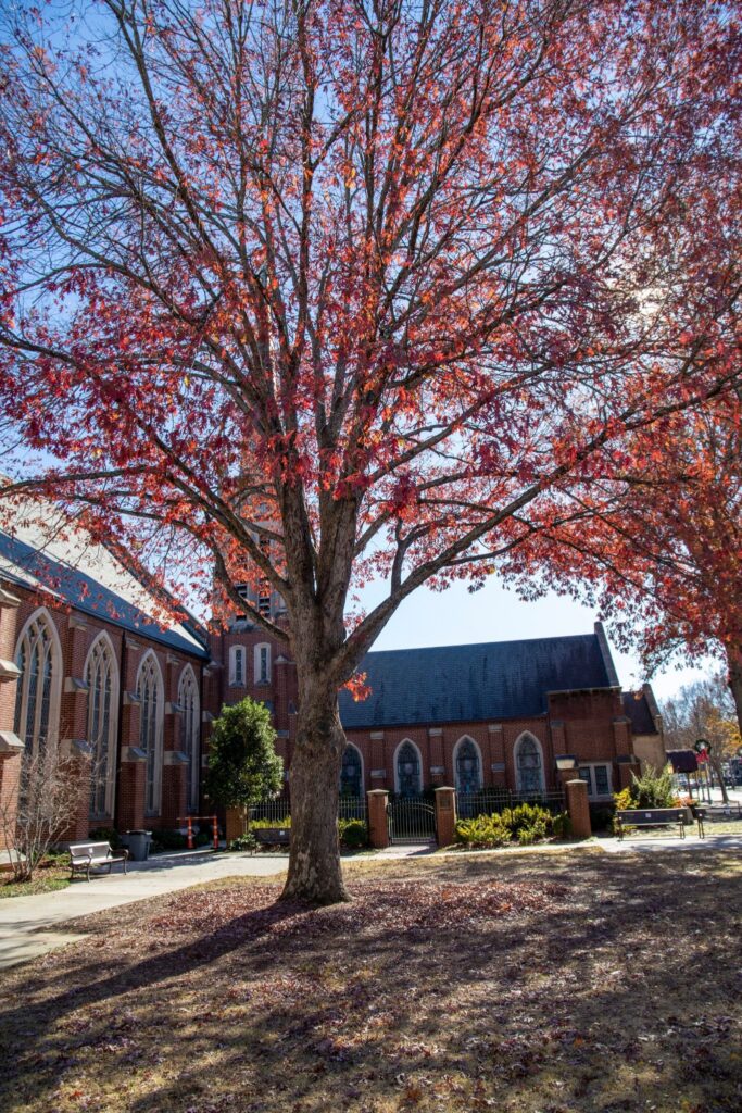Decatur Historic church framed by colorful autumn trees in downtown Madison Georgia showcasing the area's timeless character.